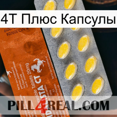 4Т Плюс Капсулы 42